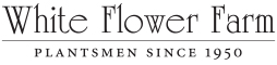White Flower Farm Inc