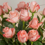 Months of Elegant Rose Bouquets | White Flower Farm