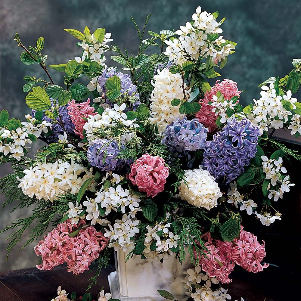 Hyacinthus May Day Bouquet Collection | White Flower Farm