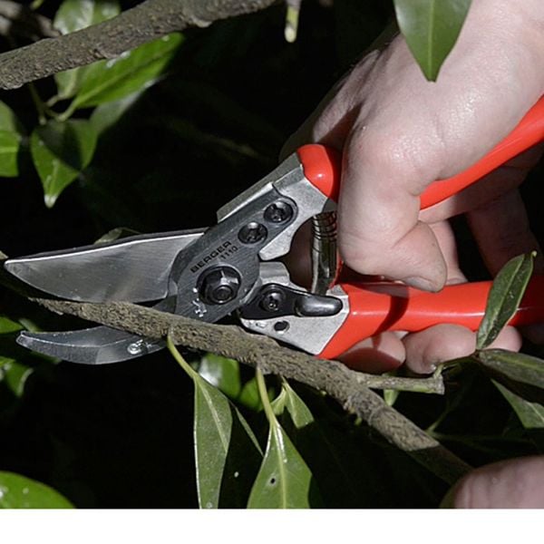 Premium Gardening Pruners | White Flower Farm