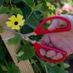  Unlimited Garden Scissors