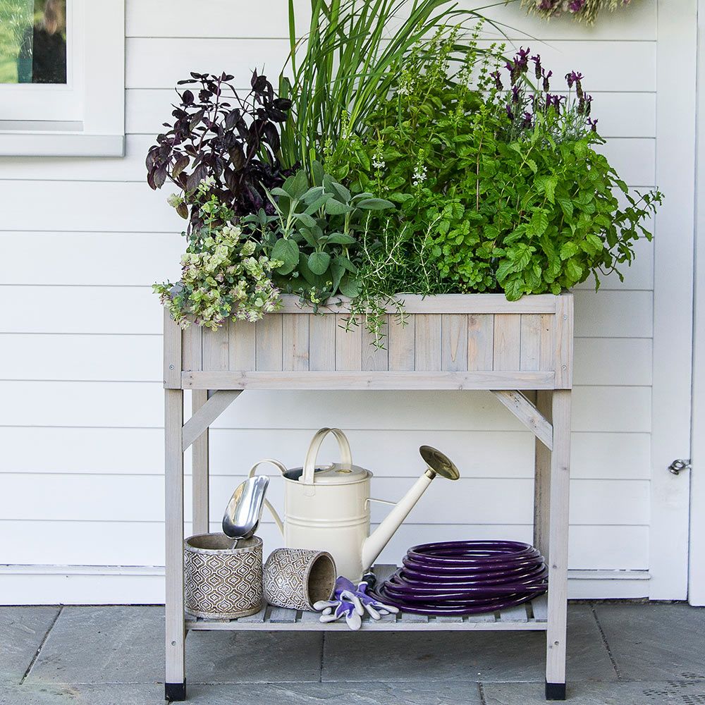 Herb Planter with dividers | White