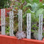  Stenciled Vegetable Marker Stakes