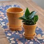 Indoor Pots & Pottery