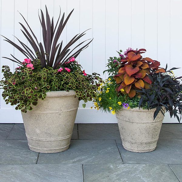 Etna Ringed Planters | White Flower Farm