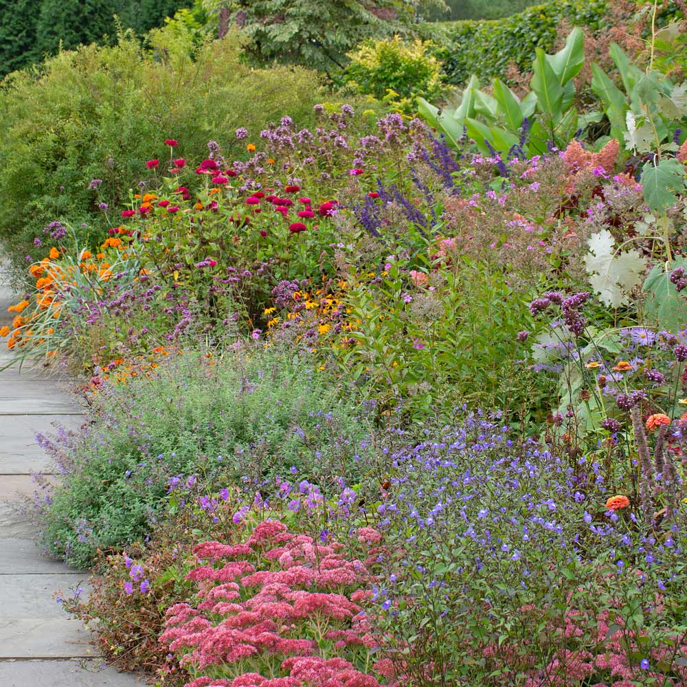 Sketchbook Drawing in the Gardens at White Flower Farm | White Flower Farm