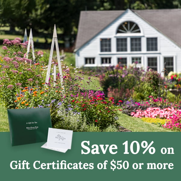 A Gift Certificate is the perfect gift for the gardeners on your list.