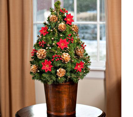 Holiday Blooms Tabletop Tree | White Flower Farm