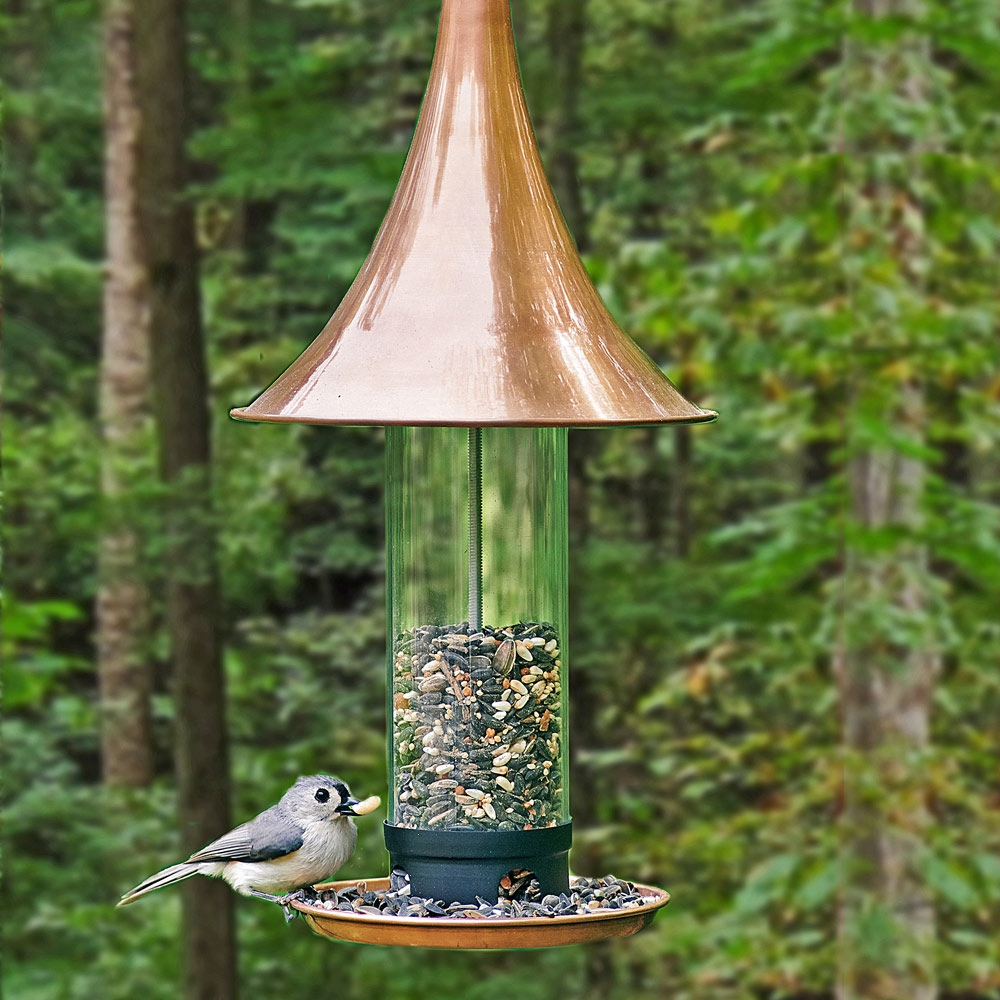 Image of Feeding hydrangeas bird feeder