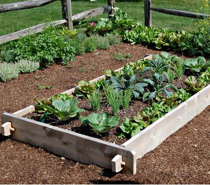 White Cedar Raised Bed, 4x8 | White Flower Farm