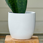  White Ceramic Cachepot, medium