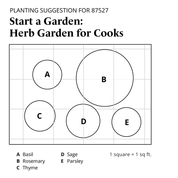 Start a Garden: Herb Garden for Cooks | White Flower Farm