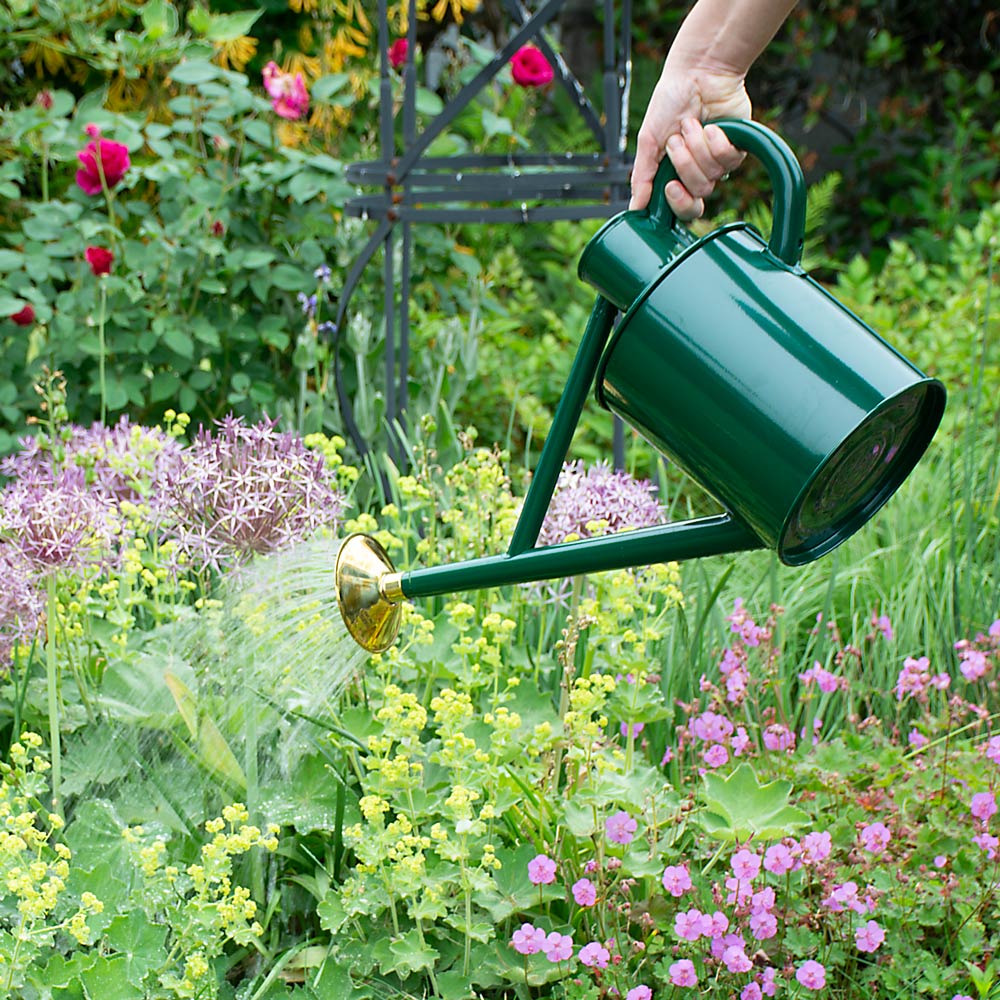 Haws Bearwood Brook Watering Can | White Flower Farm