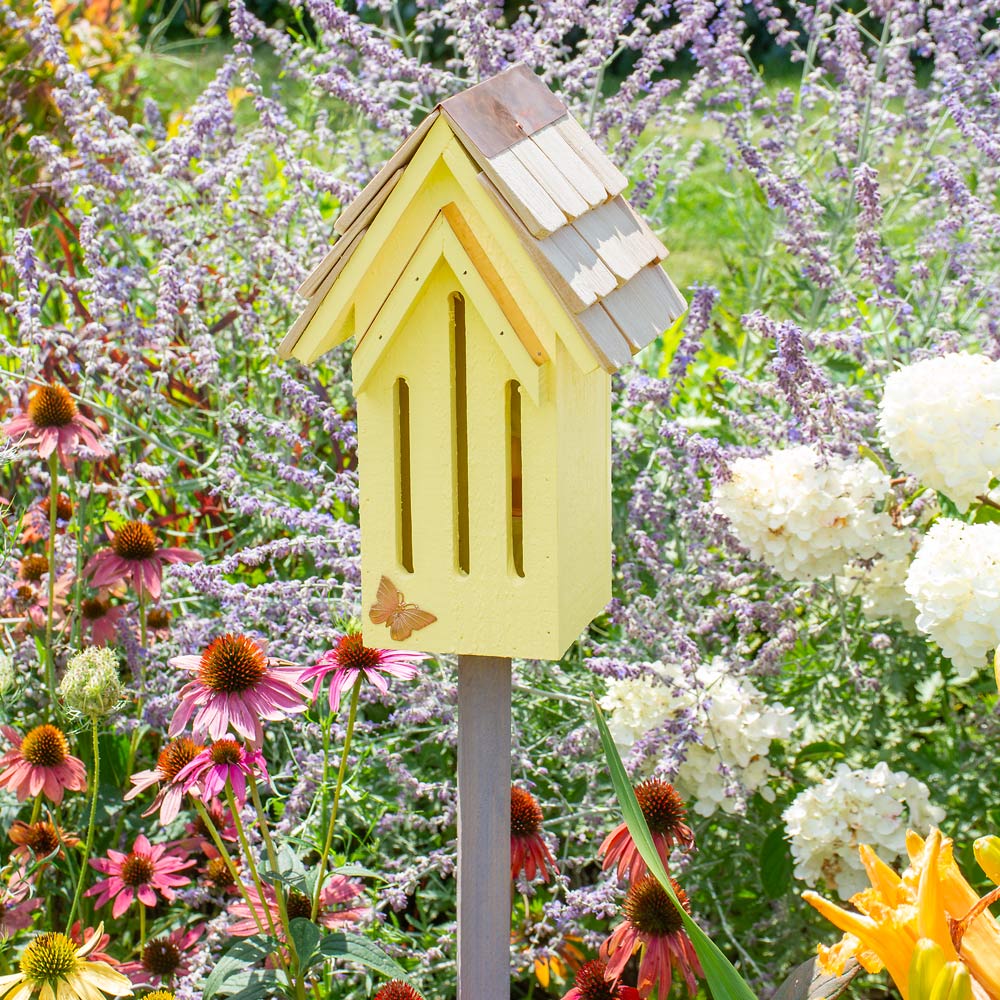 Backyard Habitat