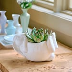  Bunny Planter