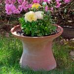 Bergs Celeste Pedestal Planter