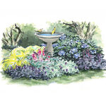  Small Space Shade Garden