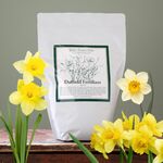  Daffodil Fertilizer