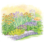  Perennial Favorites Garden 