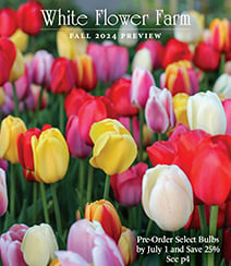 Get a free White Flower Farm Catalog