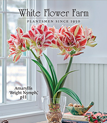Get a free White Flower Farm Catalog