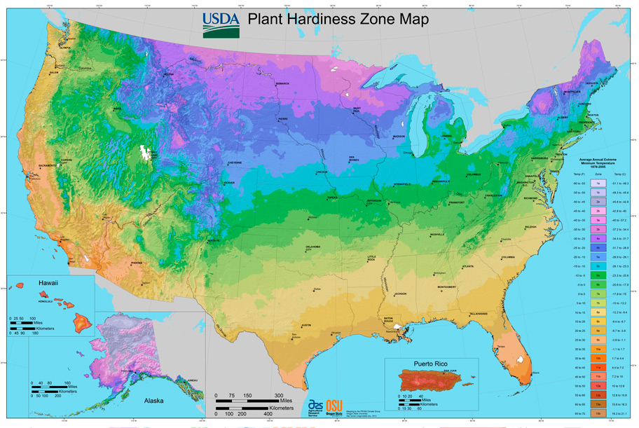 Garden Zones Map By Zip Code Fasci Garden
