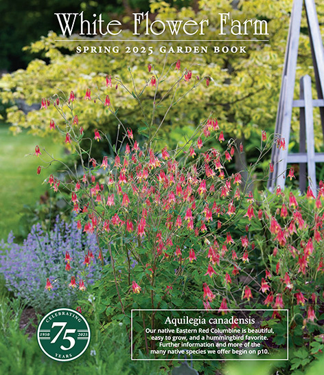 Catalog Cover
